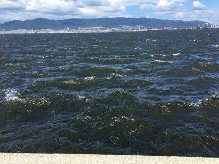 太刀魚、サゴシ、ハマチ、爆風